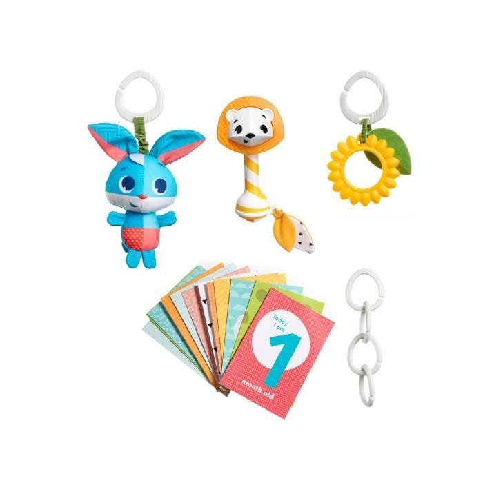 TINY LOVE Set cadeau un jouet 12 cartes tapes hochet